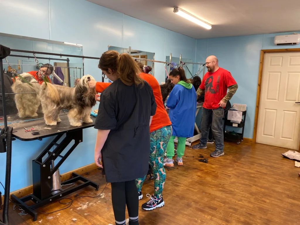 students grooming dogs at paw pad academy
